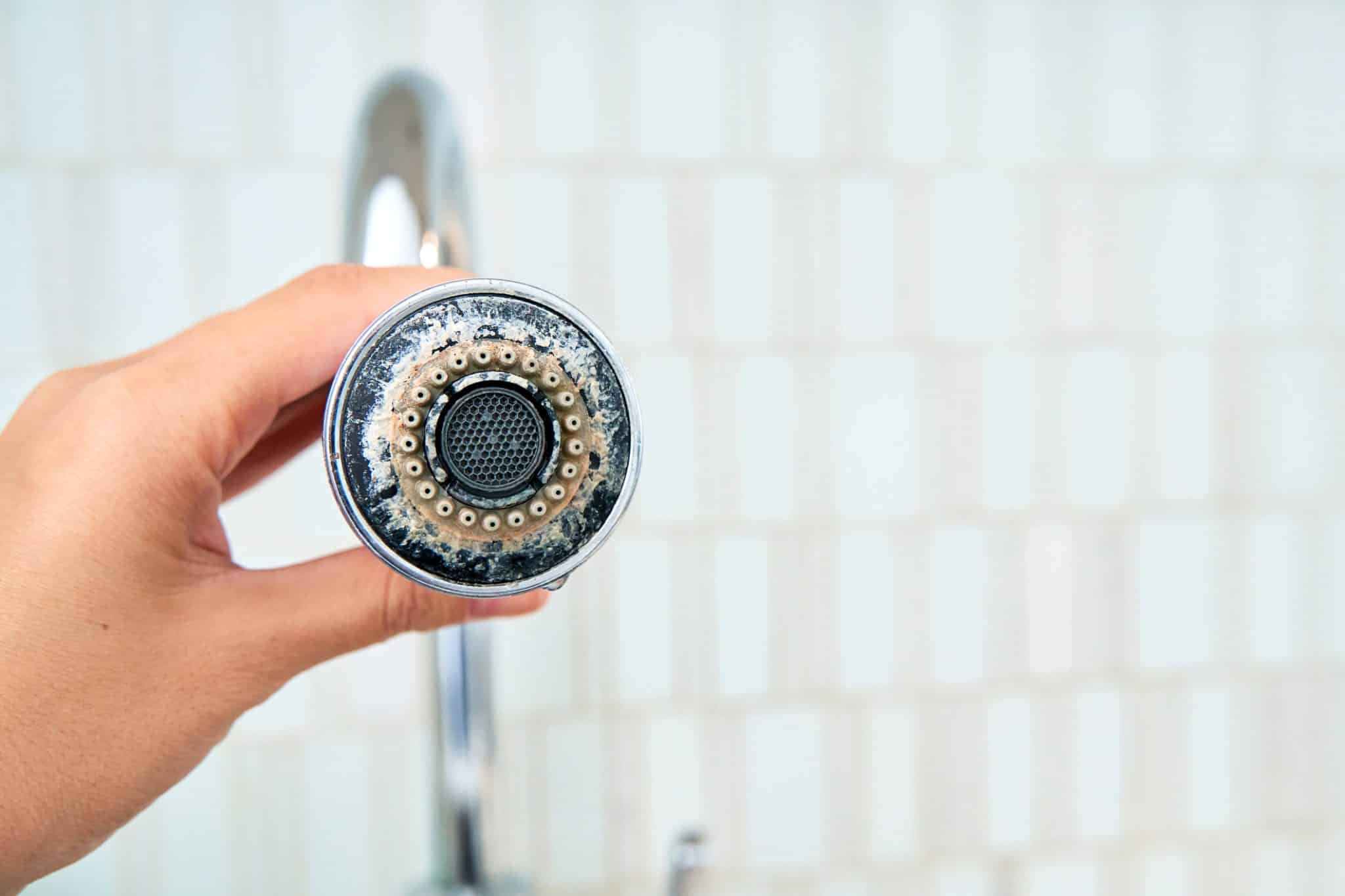 Showerhead showing obvious signs of hard water problems, including limescale build-up, in a San Francisco home.